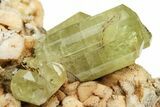 Lustrous, Yellow Apatite Crystals With Feldspar - Morocco #221041-2